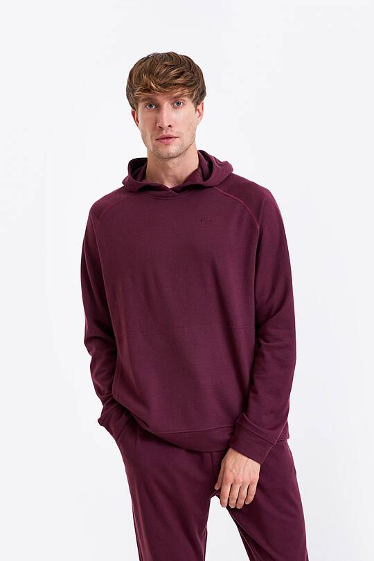 Merino wool hoodie 1 | Audimas