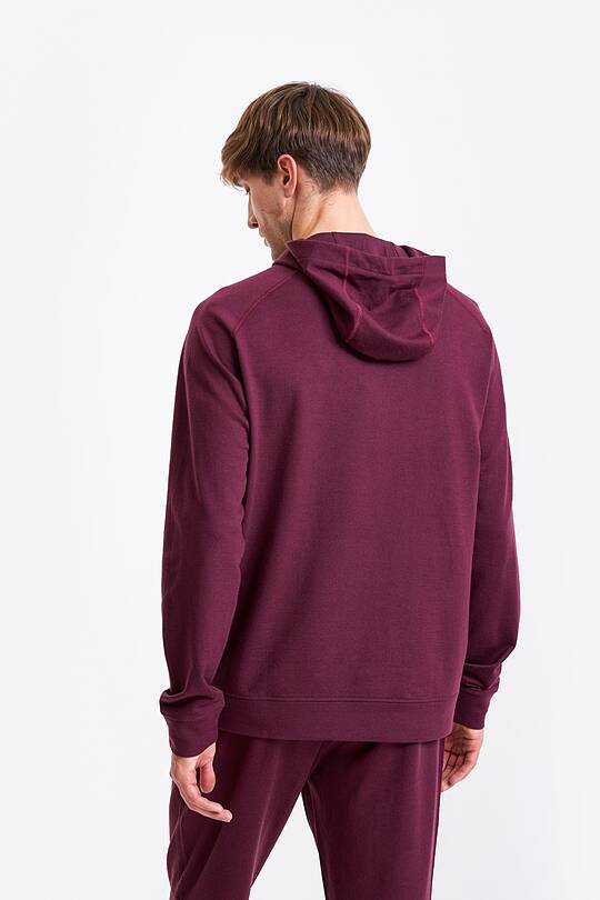 Merino wool hoodie 2 | Audimas