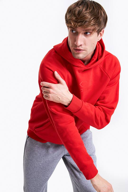 Cotton hoodie 1 | Audimas