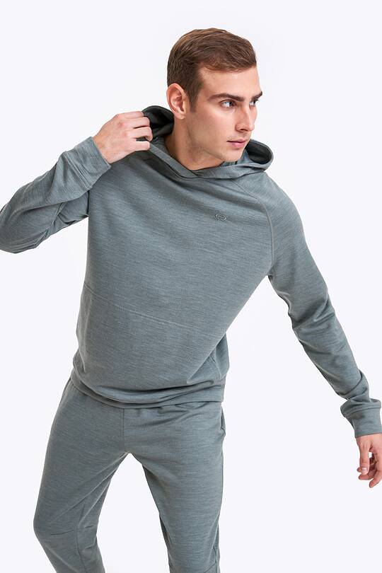 Merino wool hoodie 1 | Audimas