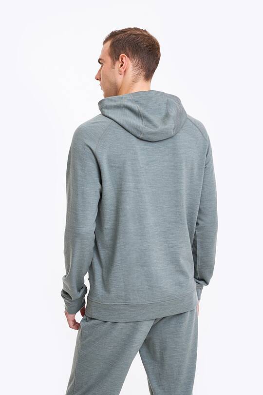 Merino wool hoodie 2 | Audimas