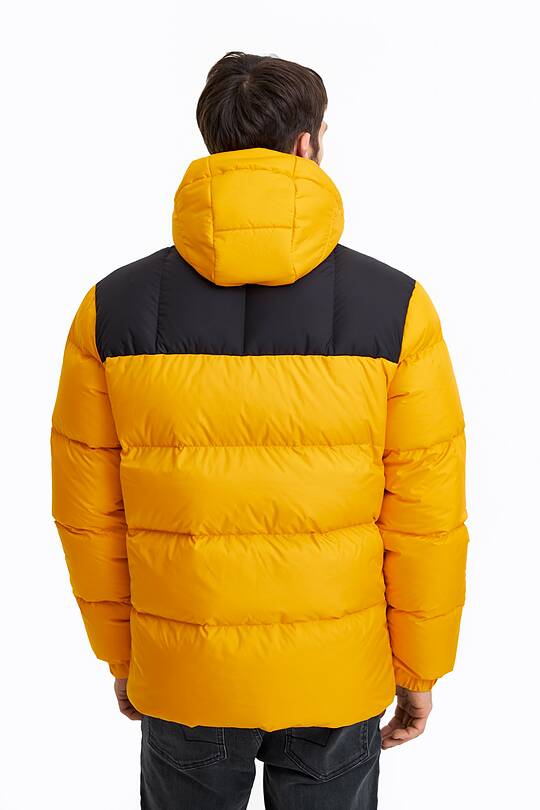 Short puffer down jacket 2 | Audimas