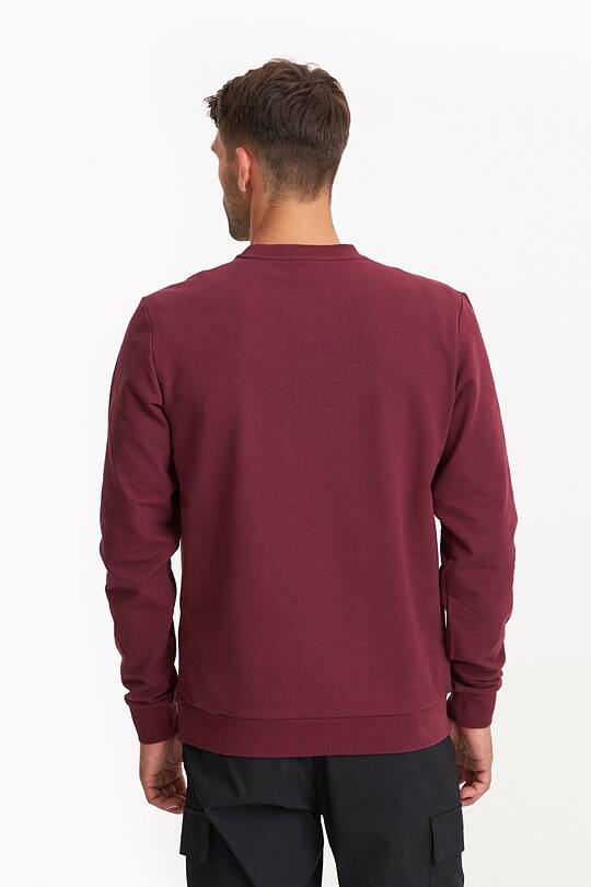 Organic cotton French terry crewneck sweatshirt 2 | Audimas