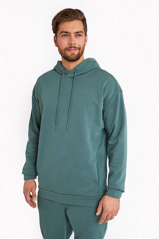 Organic cotton French terry hoodie 1 | Audimas