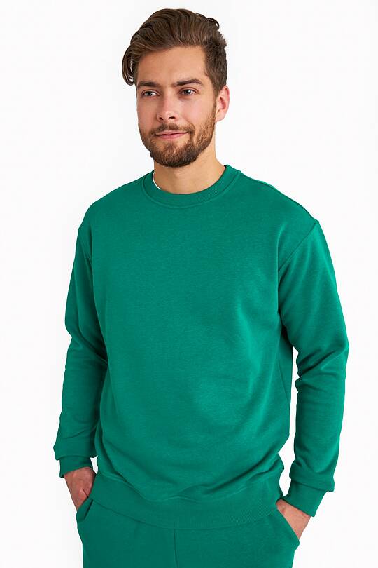 Organic cotton fleece crewneck sweatshirt 1 | Audimas