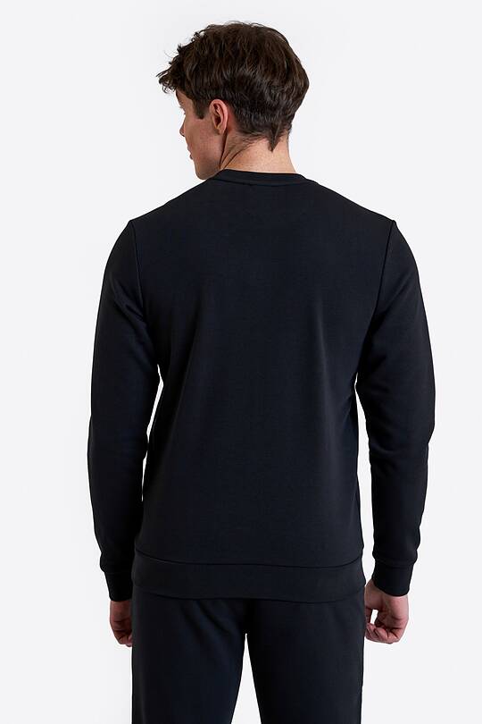 Cotton French terry crewneck sweatshirt 2 | Audimas