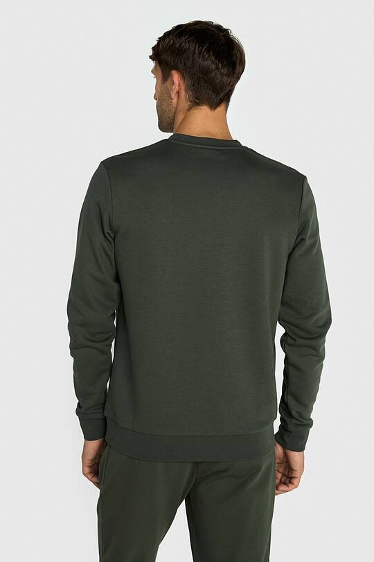 Cotton French terry crewneck sweatshirt 2 | Audimas