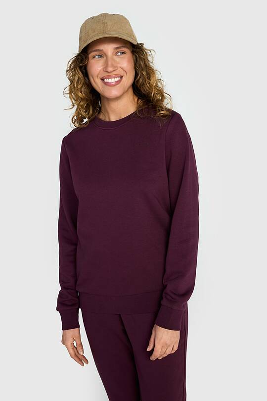 Cotton French terry crewneck sweatshirt 1 | Audimas