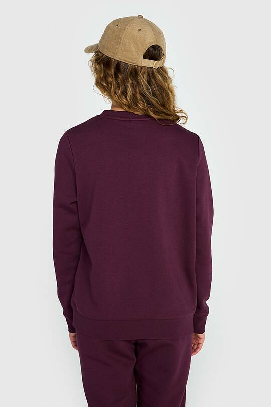 Cotton French terry crewneck sweatshirt 2 | Audimas