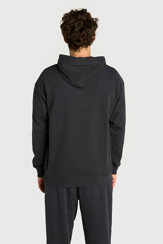 Cotton French terry hoodie 2 | Audimas