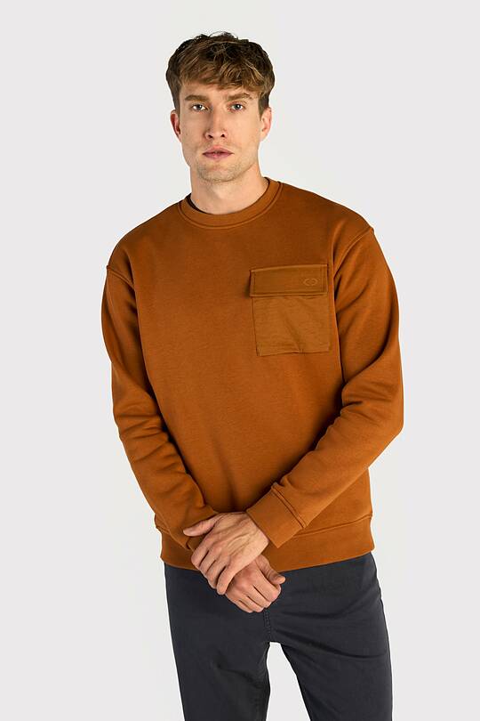 Cotton fleece crewneck sweatshirt 1 | Audimas