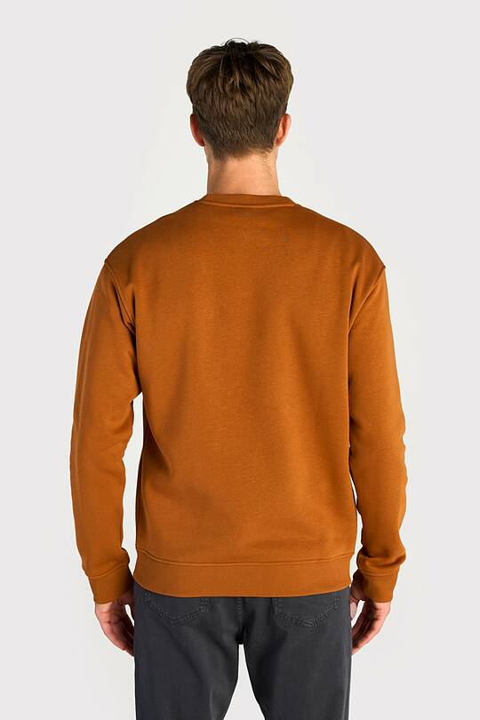 Cotton fleece crewneck sweatshirt 2 | Audimas