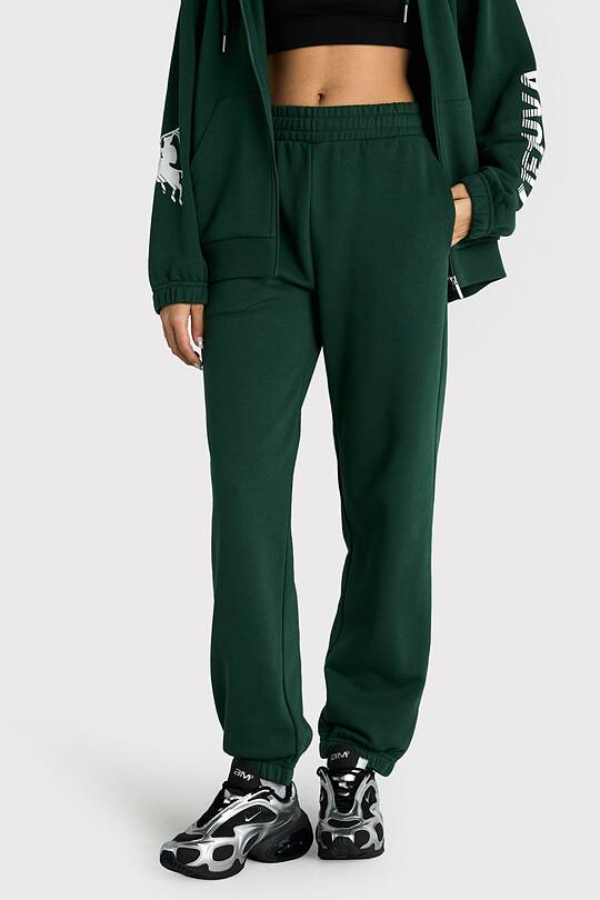 National collection cotton sweatpants 2 | Audimas
