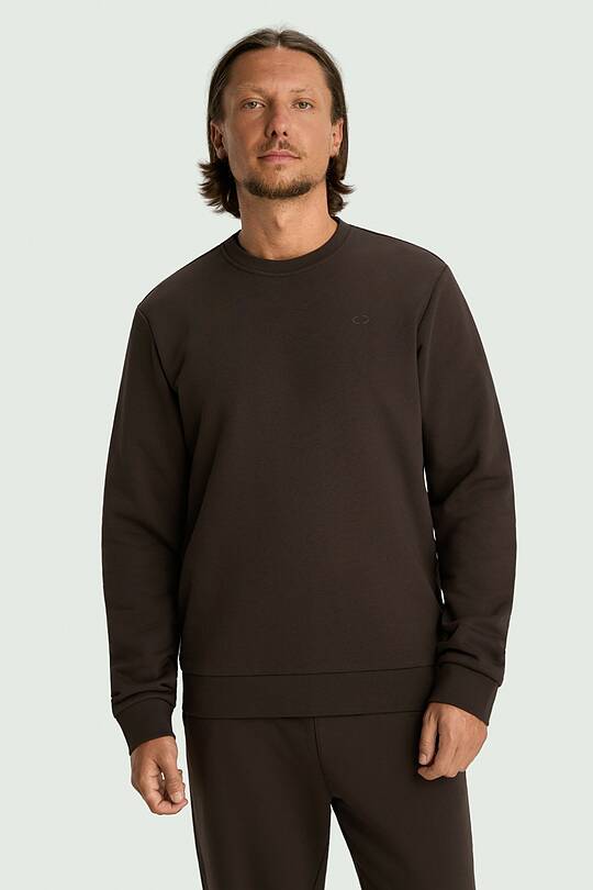 Cotton French terry crewneck sweatshirt 1 | Audimas