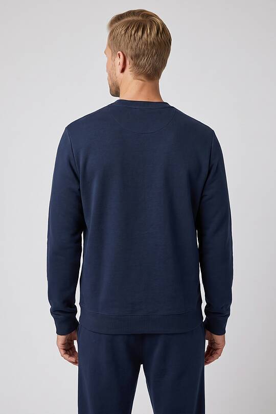Cotton French terry crewneck sweatshirt 2 | Audimas