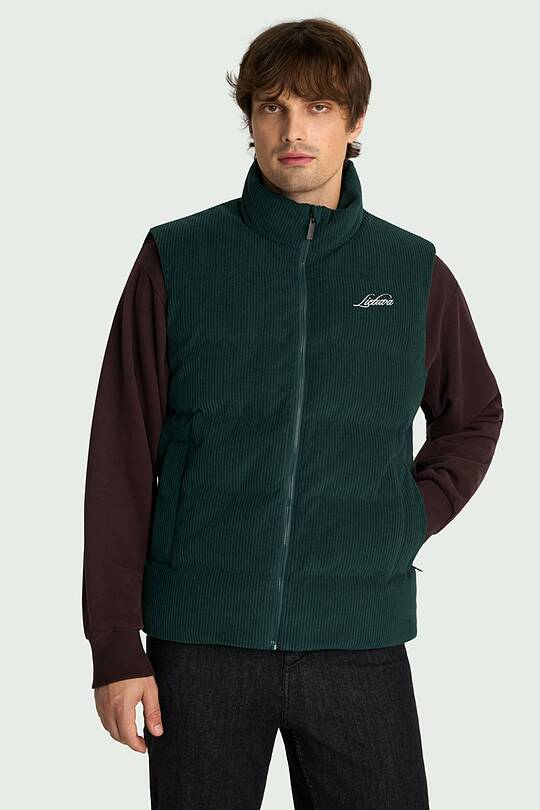 National collection down vest 1 | Audimas