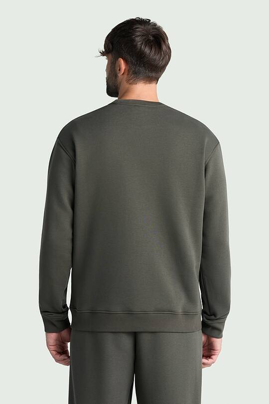 Cotton fleece crewneck sweatshirt 2 | Audimas