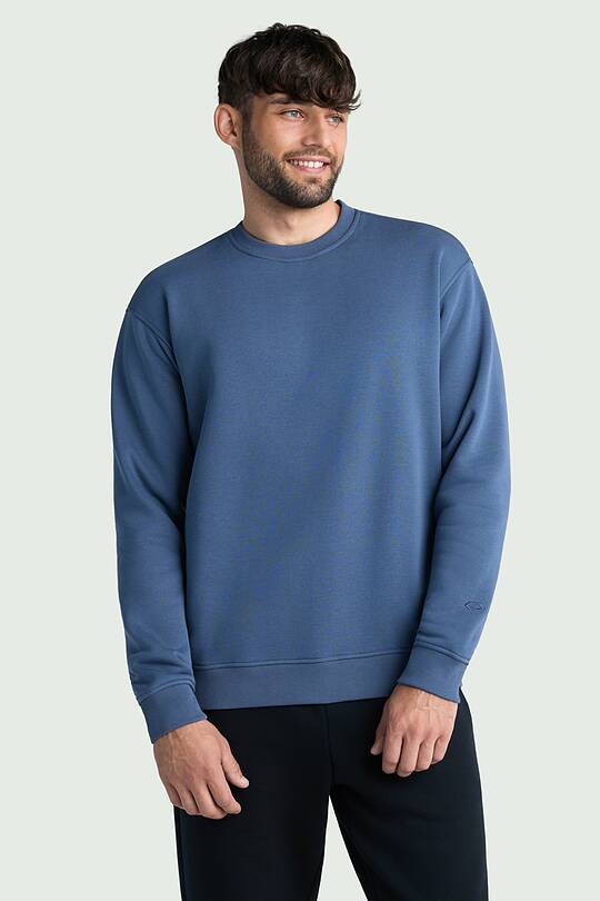 Cotton fleece crewneck sweatshirt 1 | Audimas