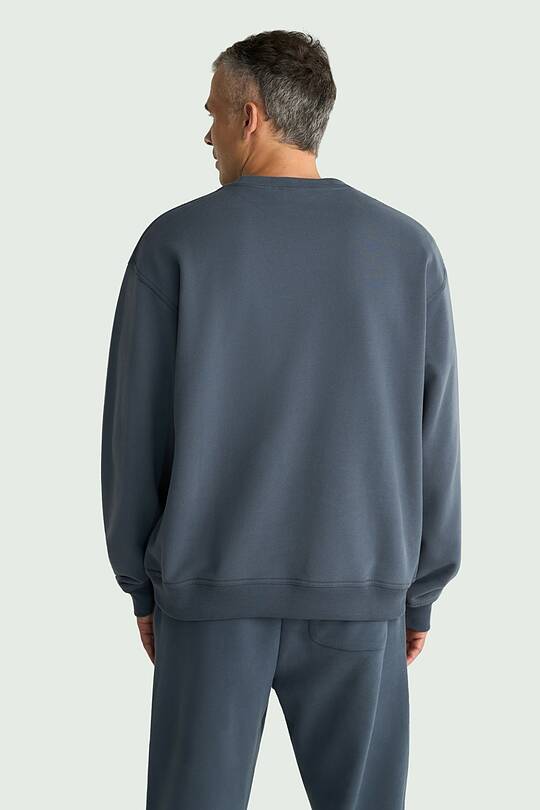Oversized heavy-weight cotton sweatshirt 2 | Audimas