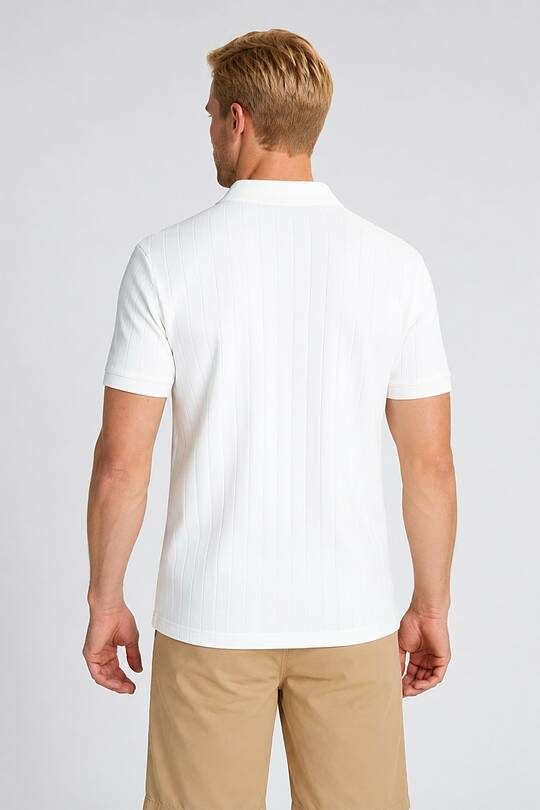 Textured cotton polo T-shirt 2 | Audimas