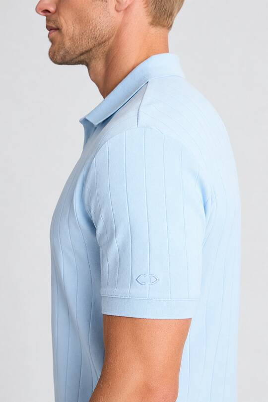 Textured cotton polo T-shirt 2 | Audimas