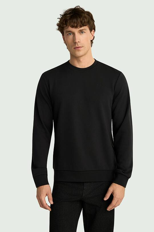 Men's cotton sweatshirt "Together to Victory" 2 | Audimas