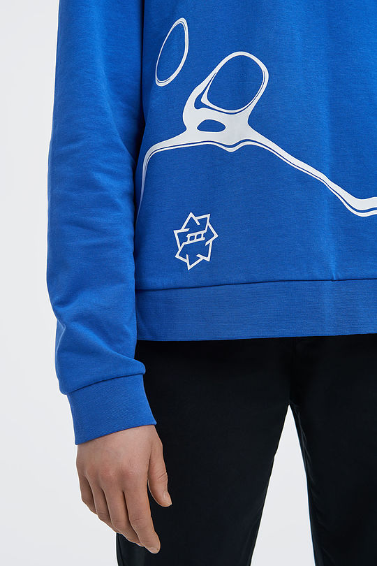 Medvilnės TERRY trikotažo džemperis 3 | BLUE | Audimas