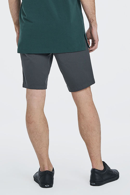 Cotton chino shorts 2 | GREY/MELANGE | Audimas