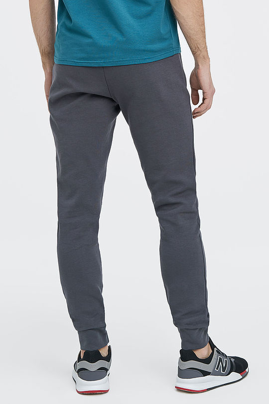 Cotton interlock tricot slim fit sweatpants 2 | GREY/MELANGE | Audimas