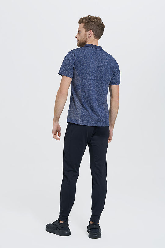 Polo shirts NORTON 6 | BLUE | Audimas