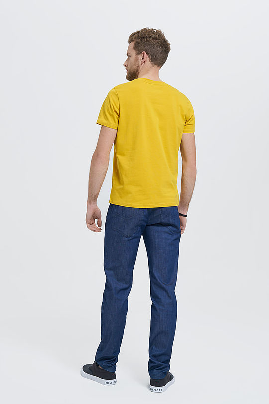 Cotton tee SURINK LIETUVĄ 5 | YELLOW/ORANGE | Audimas