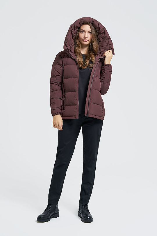 Down jacket 7 | BROWN/BORDEAUX | Audimas