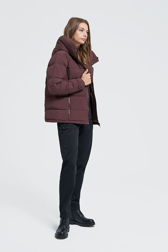 Down jacket 5 | BROWN/BORDEAUX | Audimas