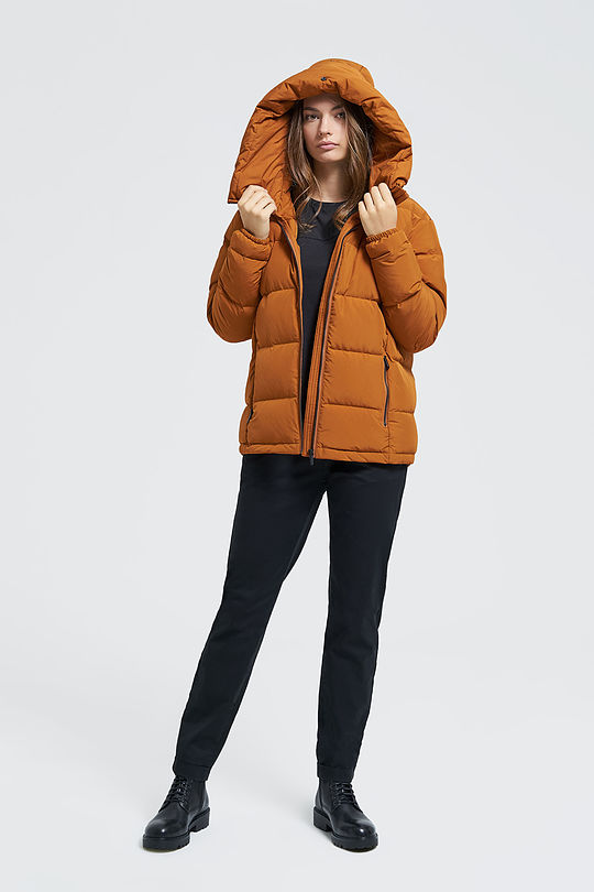 Down jacket 4 | BROWN/BORDEAUX | Audimas