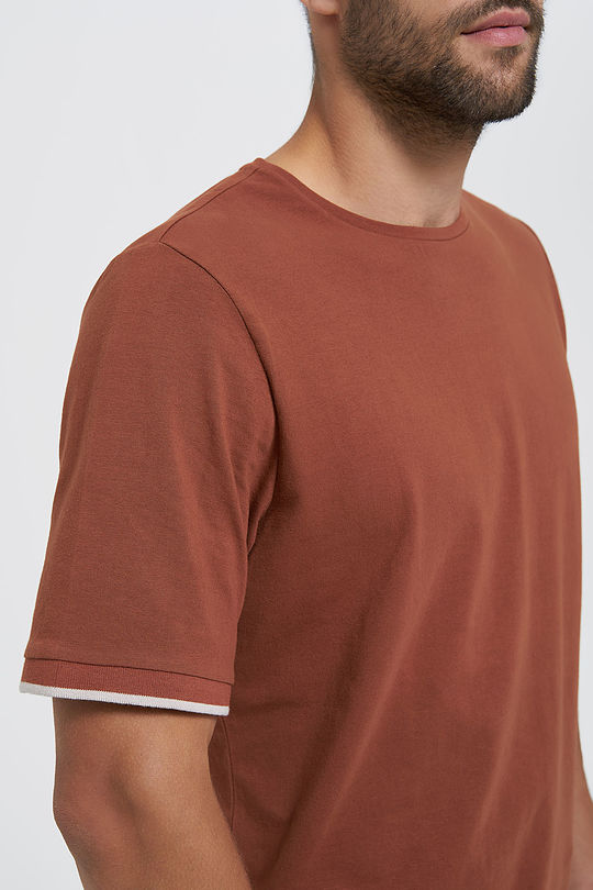 Cotton tee 3 | BROWN/BORDEAUX | Audimas