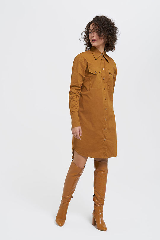 Stretch cotton shirt dress 5 | BROWN/BORDEAUX | Audimas