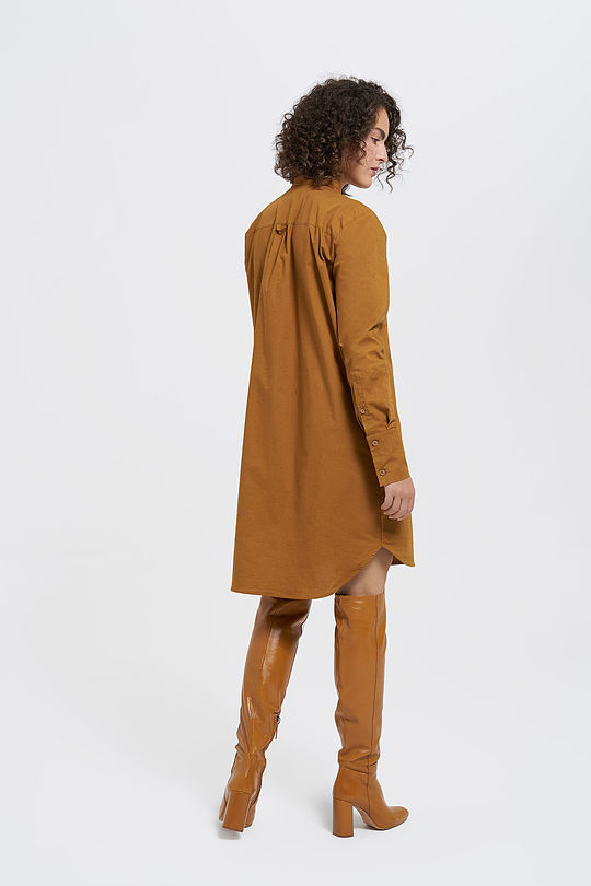 Stretch cotton shirt dress 8 | BROWN/BORDEAUX | Audimas