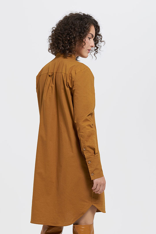 Stretch cotton shirt dress 2 | BROWN/BORDEAUX | Audimas