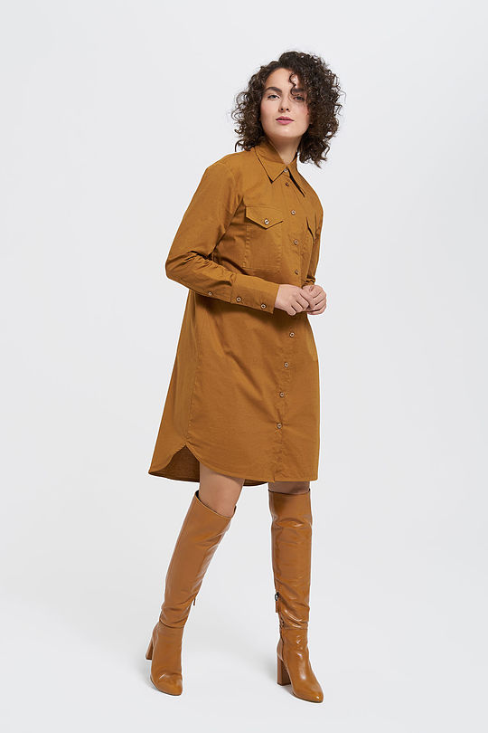 Stretch cotton shirt dress 7 | BROWN/BORDEAUX | Audimas