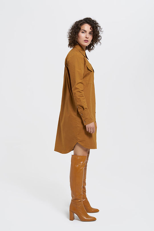 Stretch cotton shirt dress 6 | BROWN/BORDEAUX | Audimas