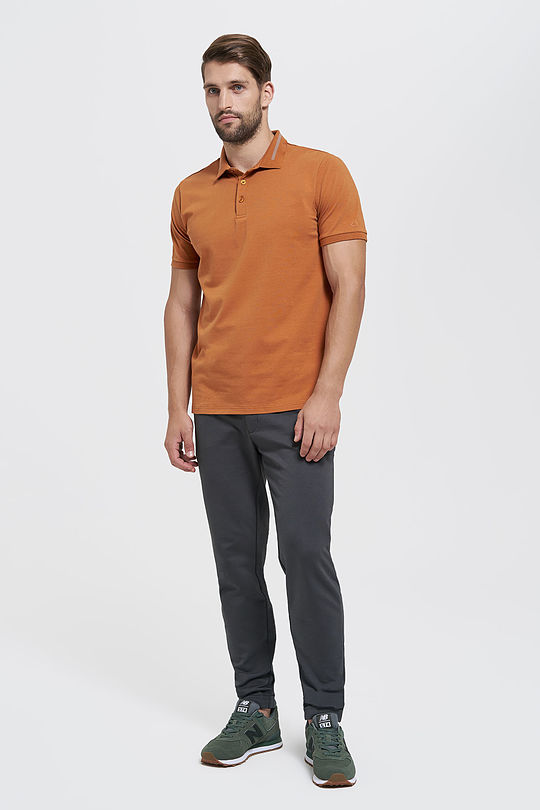 Cotton polo shirt 4 | BROWN/BORDEAUX | Audimas