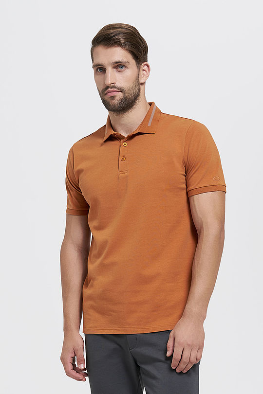 Cotton polo shirt 1 | BROWN/BORDEAUX | Audimas