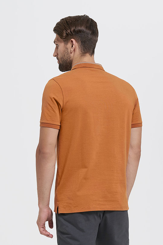 Cotton polo shirt 2 | BROWN/BORDEAUX | Audimas