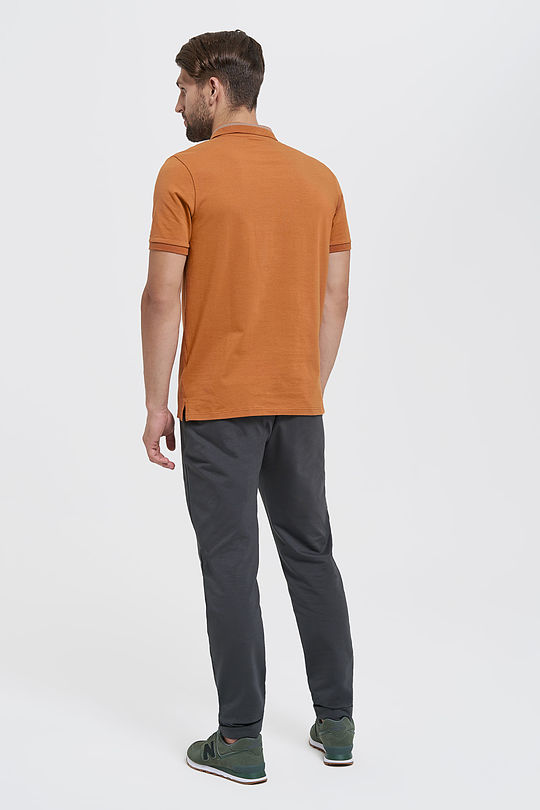Cotton polo shirt 5 | BROWN/BORDEAUX | Audimas