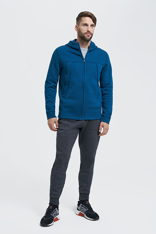 Brushed cotton zip-through hoodie 6 | BLUE | Audimas