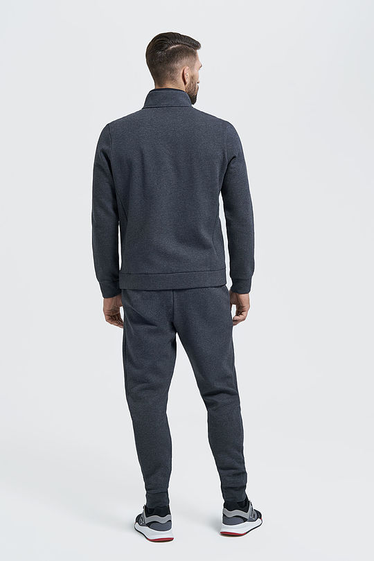 Brushed cotton slim fit sweatpants 6 | GREY/MELANGE | Audimas