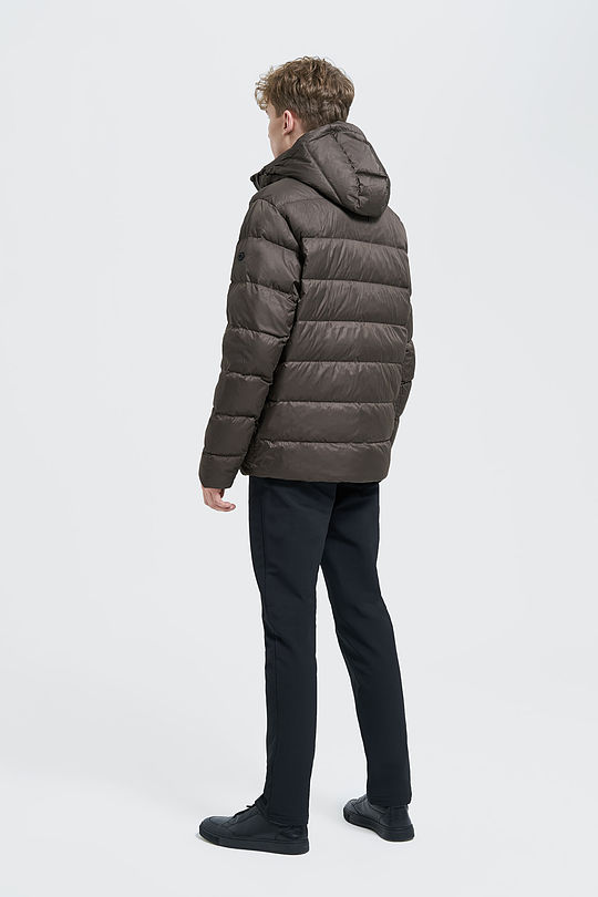 Puffer down jacket 5 | BROWN/BORDEAUX | Audimas