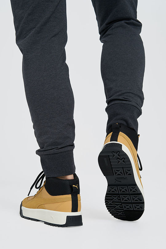 Zapatilla Urbana Tarrenz SB Camel Puma - Compra Ahora | Dafiti Chile