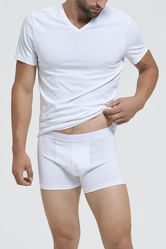 Organic cotton boxer 1 | WHITE | Audimas