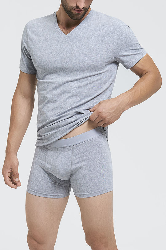 Organic cotton boxer 1 | GREY/MELANGE | Audimas